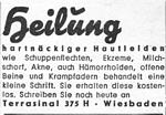 Terrasinal 1959 398.jpg
